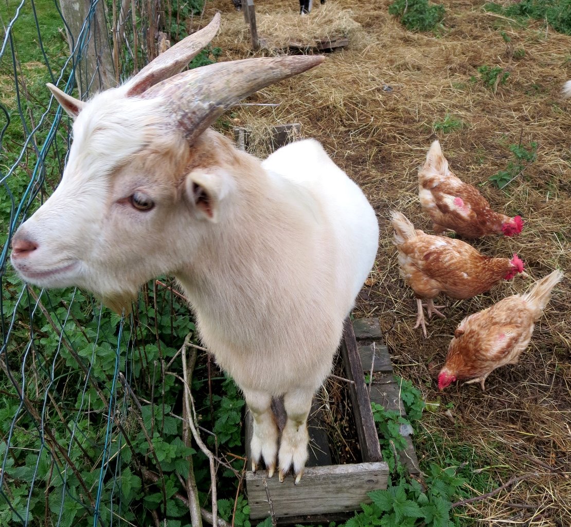 Cohabitation dans notre espace nature...